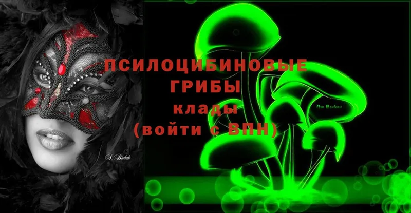 Галлюциногенные грибы Magic Shrooms  blacksprut вход  Старица 